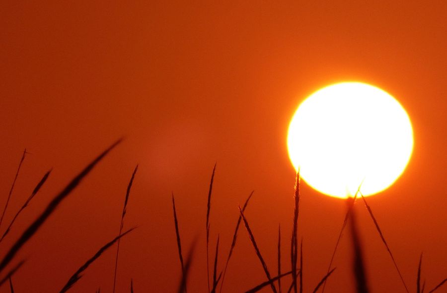 The warm weather has generated an unexpected phenomenon in Romania