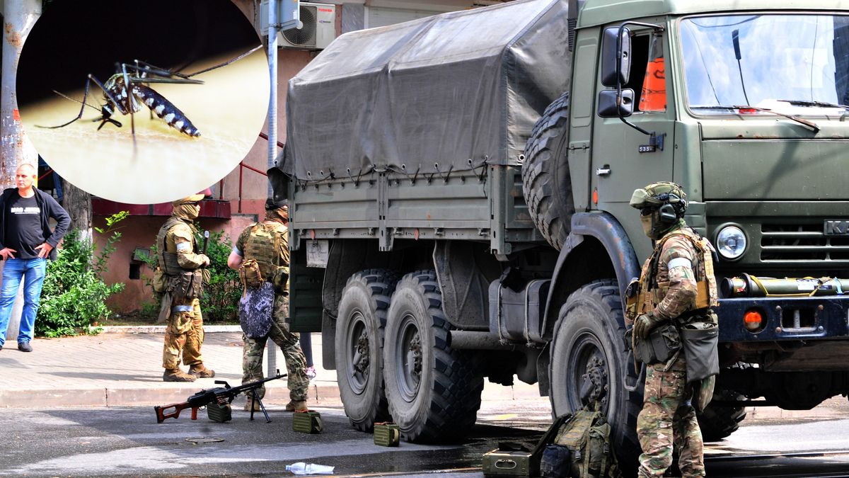 Rosjanie uważają, że siły USA chcą ich zaatakować komarami roznoszącymi choroby