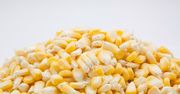 Słodka biała kukurydza w puszce (produkt i płyn)
