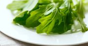Rukola – właściwości odżywcze, przepisy