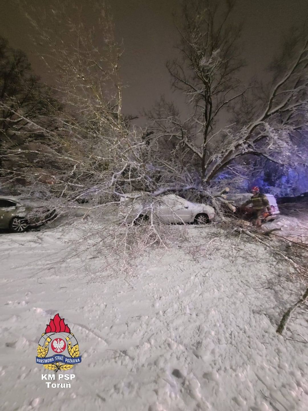 Atak zimy w Toruniu i okolicy