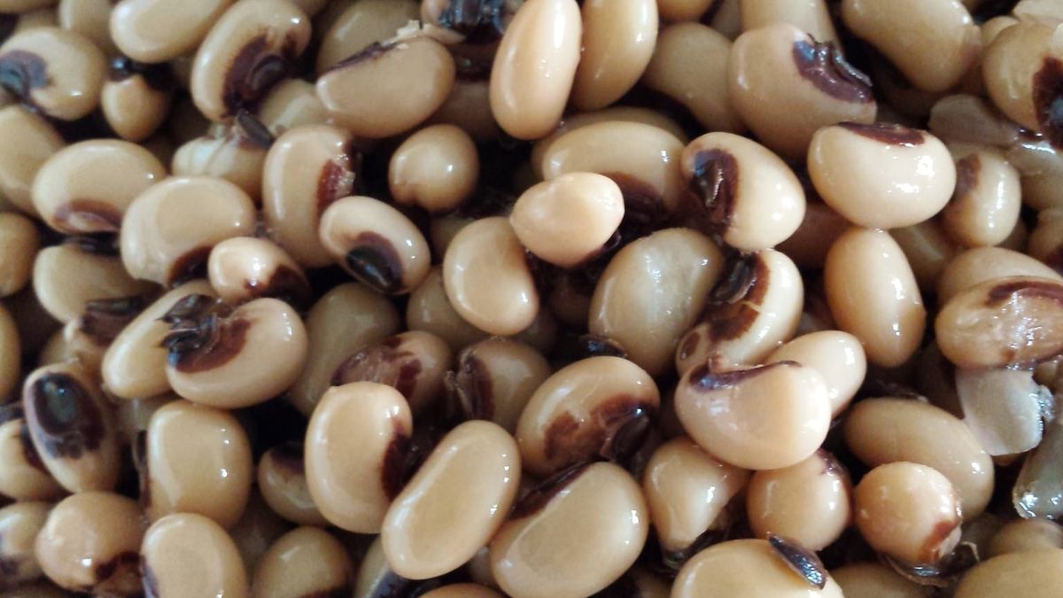 Gotowana mrożona fasola czarne oczko bez dodatku soli, odsączona