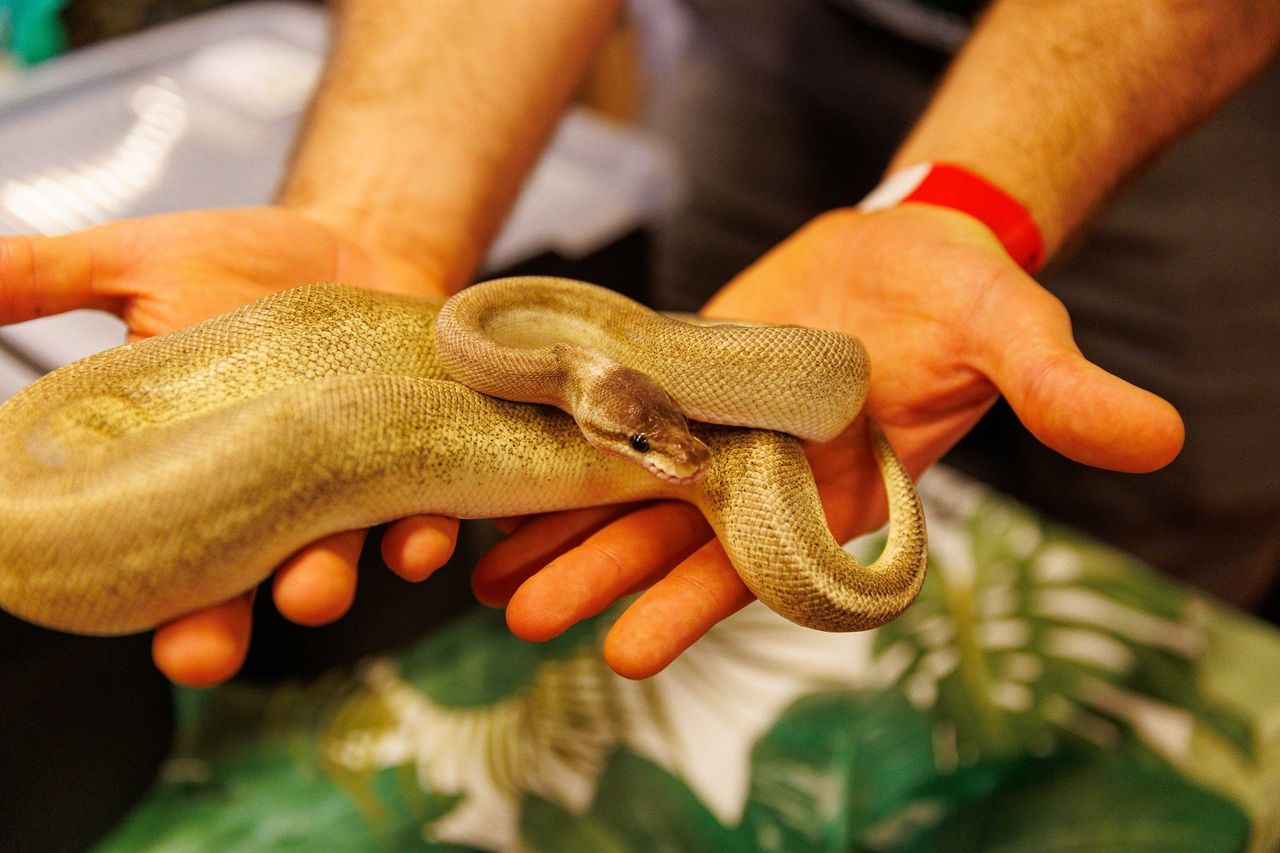 Białystok: Bliskie spotkania z gadami, płazami, owadami i rybami