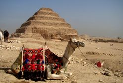 Egipt otwiera granice i wpuszcza turystów. Na razie do kilku ośrodków