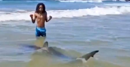 Atak rekina nad Morzem Śródziemnym. Plażowicze wszystko nagrali
