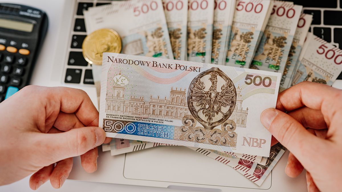 laptop, liczenie, kasa, gotówka, pln, polski, waluta, dolar, bisnes, bogactwo, finanse, banknoty, papier, holding, bank, euro, banknot, 100, inwestycja, bankowej, finansowy