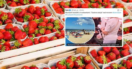 Turyści ruszyli po truskawki. Hitowe stoisko obok Biedronki