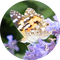 Biologia - Quiz Maturalny icon