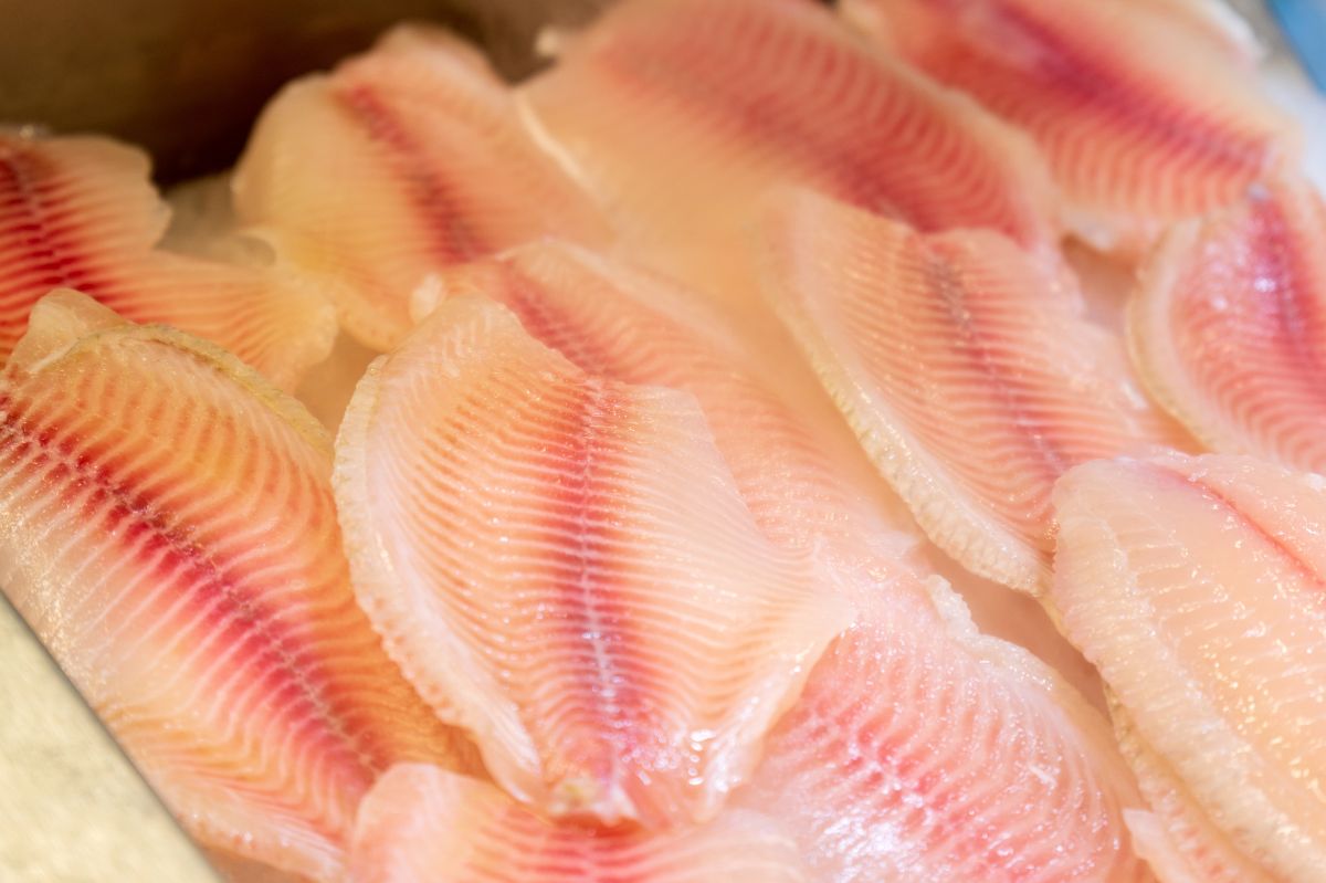 Silver carp: A culinary gem packed with omega-3 and vitamins