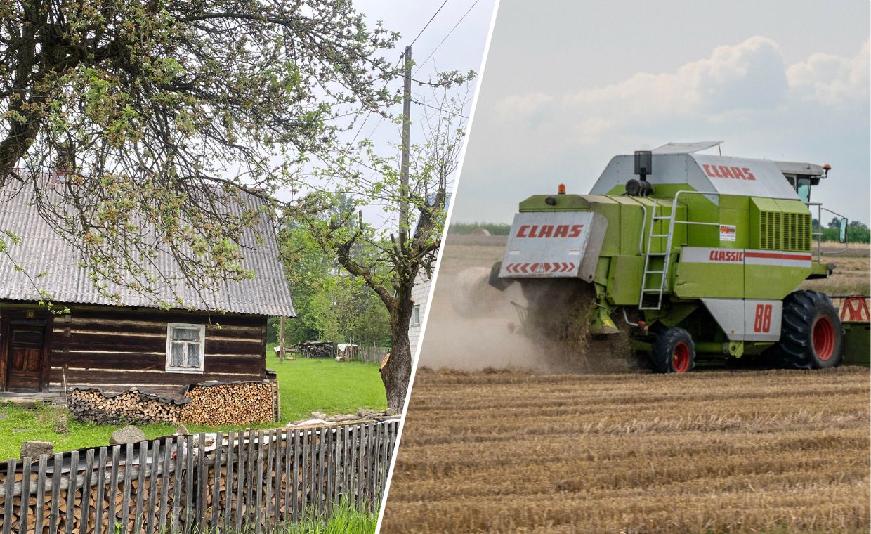 Żyją z rolnictwa. W polu pracują nawet trzylatki. "Praca jest najważniejsza"