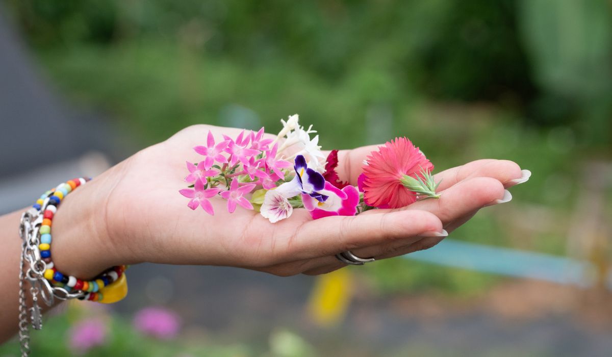 Zbieranie jadalnych kwiatów - Pyszności; foto: Canva