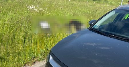 Organizator nielegalnej migracji z Litwy do Polski zatrzymany przez Straż Graniczną