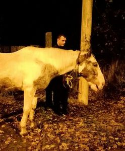 Szczecin: Nietypowa interwencja. Policjanci natknęli się na spacerującego konia