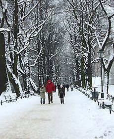 Zima zawitała do Krakowa