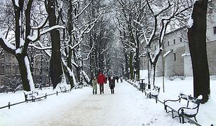 Zima zawitała do Krakowa