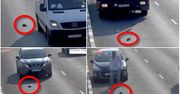 Ktoś wyrzucił małego kotka na środku autostrady. Nagranie pokazuje dramatyczne chwile, które przeżył zwierzak