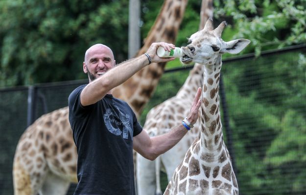 Marcin Gortat pojechał do zoo nakarmić swojego chrześniaka. Ten zdążył go już... przerosnąć!