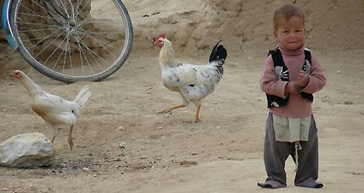 Pomoc w obozie uchodźców