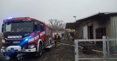 W ogniu zginęło 100 prosiąt i 14 macior