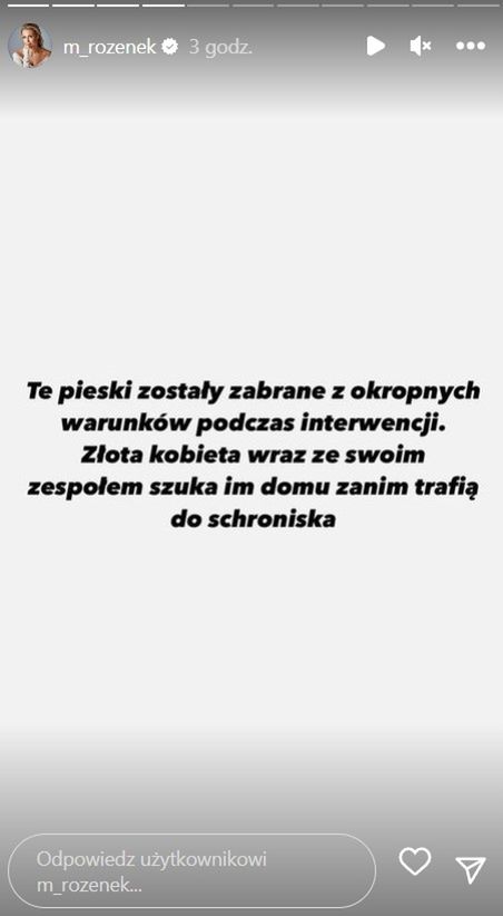 Małgorzata Rozenek poszukuje domu dla psów