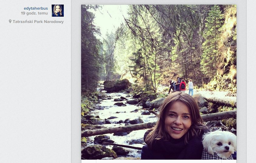 screen Instagram