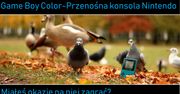 Przygoda z GBC po latach