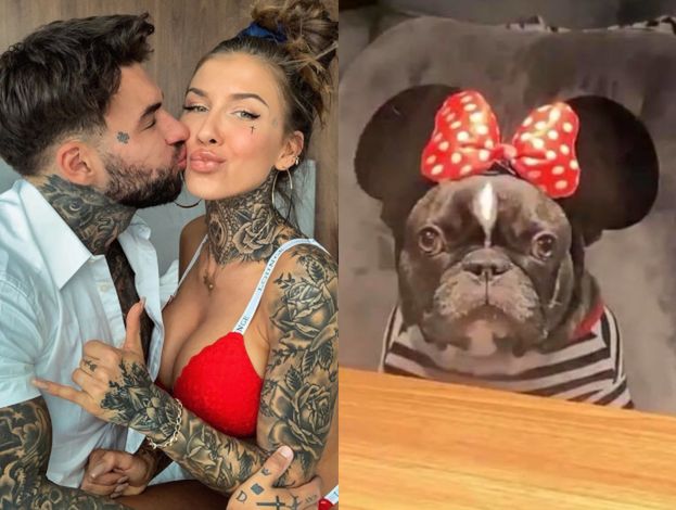 Dramat Deynn: Musi wychodzić z psem NA DACH, bo na ulicy wszyscy chcą sobie z nią robić zdjęcia!