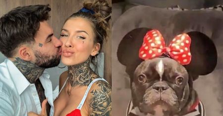 Dramat Deynn: Musi wychodzić z psem NA DACH, bo na ulicy wszyscy chcą sobie z nią robić zdjęcia!