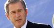 Bush w Afryce