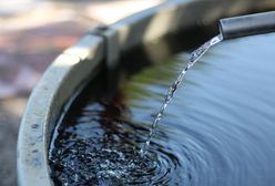 Bakterie w wodzie pod Warszawą. Sanepid ostrzega