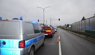 Śmierć dziewczynki na drodze. Jest wniosek o areszt dla sprawcy