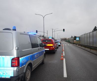 Śmierć dziewczynki na drodze. Jest wniosek o areszt dla sprawcy