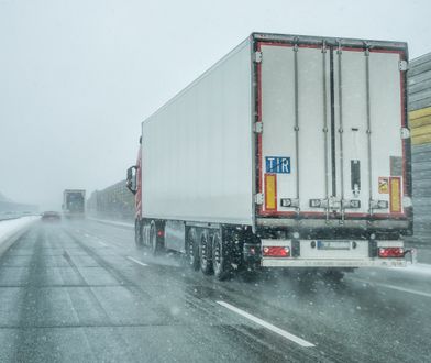 Zatrzymano transport z Rosji. Od tego "znaleziska" można dostać mdłości