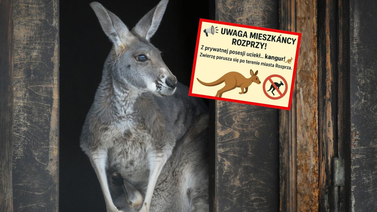 Władze w Rozprzy ostrzegają