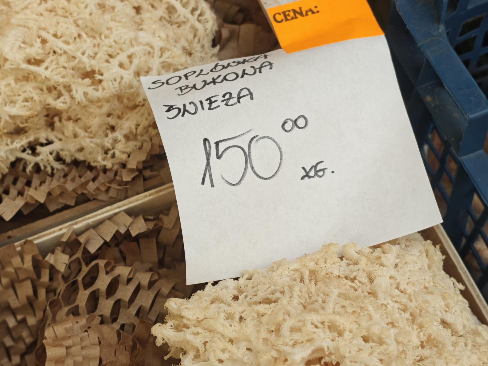 Cena za soplówkę potrafi być naprawdę wysoka