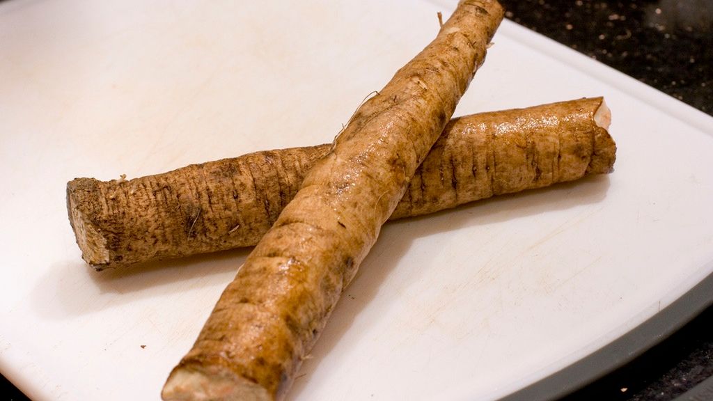 Łopian – właściwości, działanie, zastosowanie