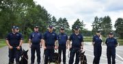 Eliminacje wojewódzkie do XXII Kynologicznych Mistrzostw Policji