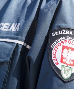 Celnicy kontrolują przesyłki pocztowe. Pokazali zdjęcia tego, co w nich znajdują