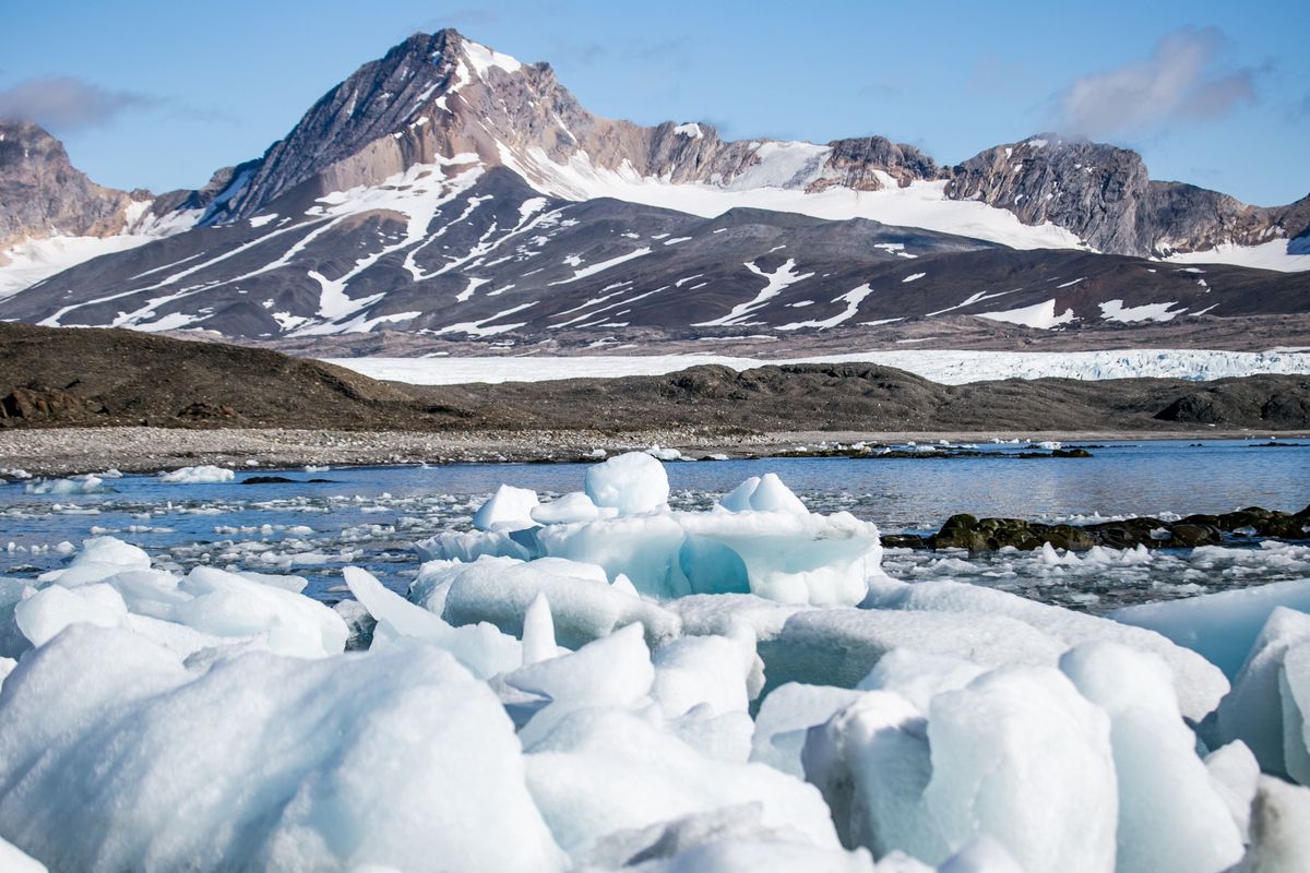 Lato na Spitsbergenie wygląda tak