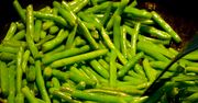 Zielona fasolka szparagowa w puszce, odsączona