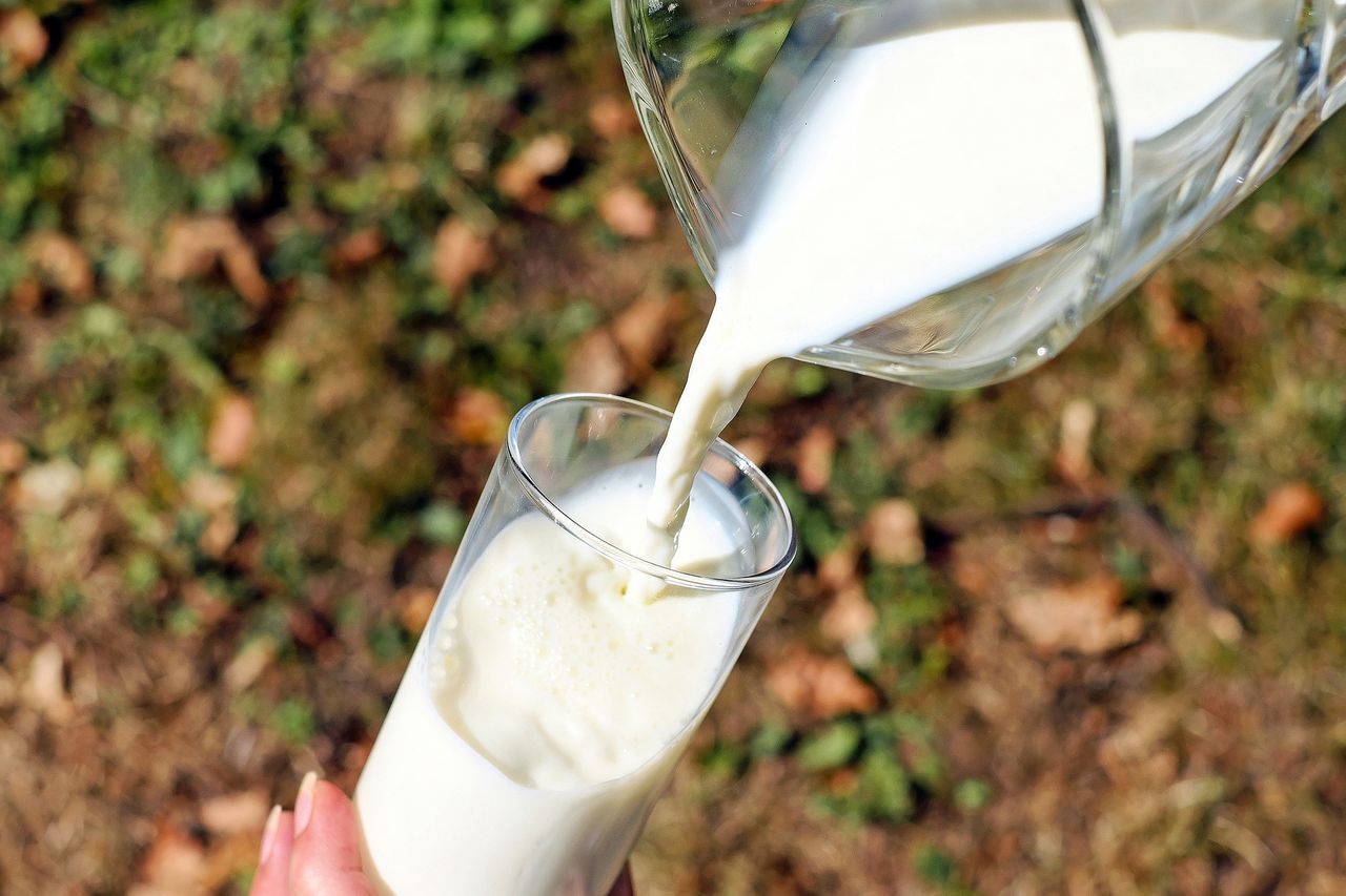 Naukowcy opracowali zmodyfikowaną wersję białka mleka 