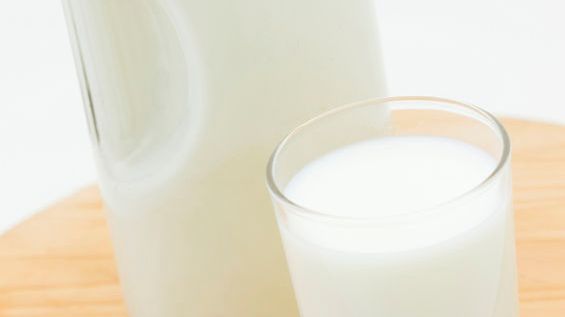 Mleko bawoła indyjskiego