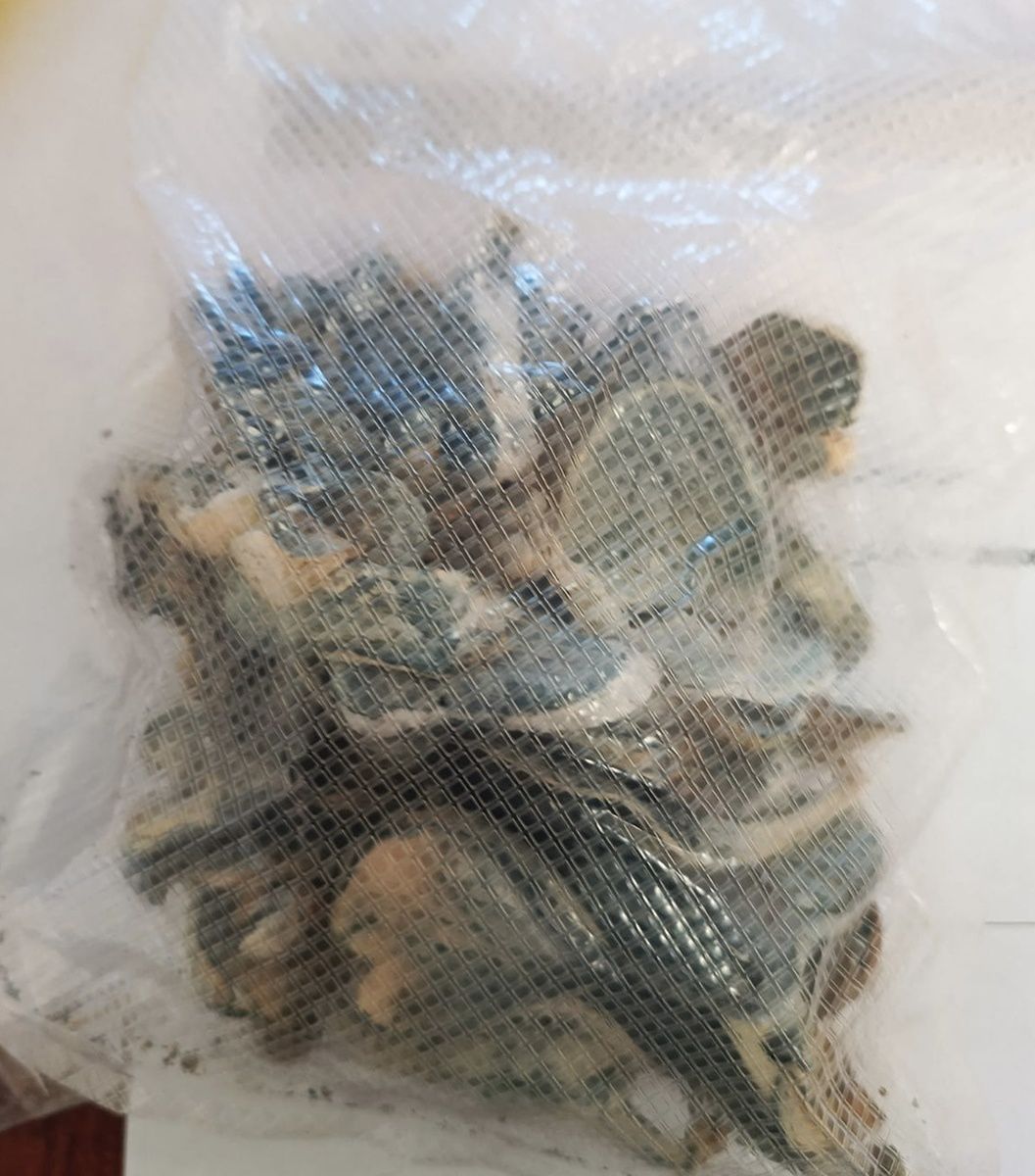 Pomorskie: Policjanci zatrzymali 32-latka. W mieszkaniu miał grzyby halucynogenne, LSD i marihuanę