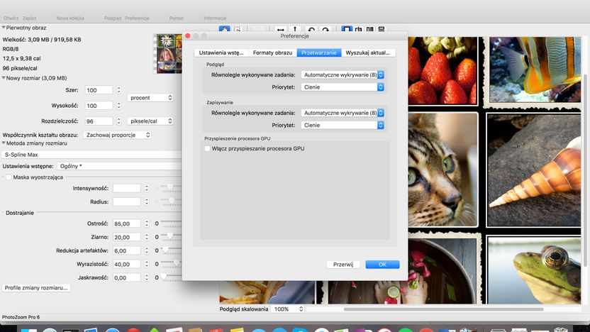 PhotoZoom Pro 7