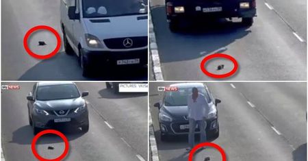 Ktoś wyrzucił małego kotka na środku autostrady. Nagranie pokazuje dramatyczne chwile, które przeżył zwierzak