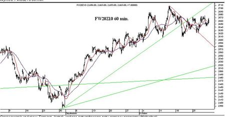 Trend boczny
