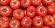Tak wybierzesz najsmaczniejsze pomidory w sklepie. Wystarczy wykonać szybki test