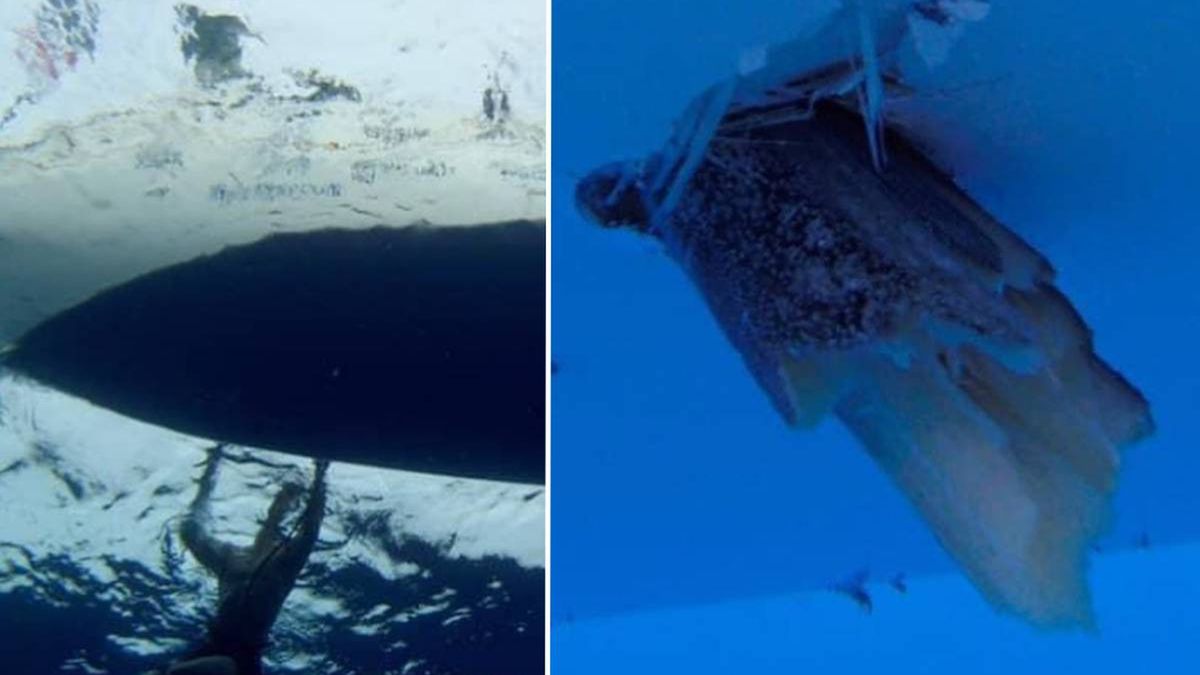 Zdjęcie okładkowe artykułu: Instagram / instagram.com/lat35atlanticchallenge2020/ / Po prawej stronie fragment szpikulca ryby, który wbił się w łódź wioślarzy