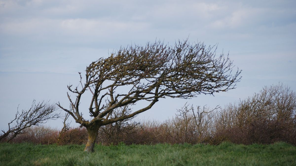 Czwartek pogoda niemalże w całej Polsce dopisuje. W piątek będzie znacznie chłodniej 