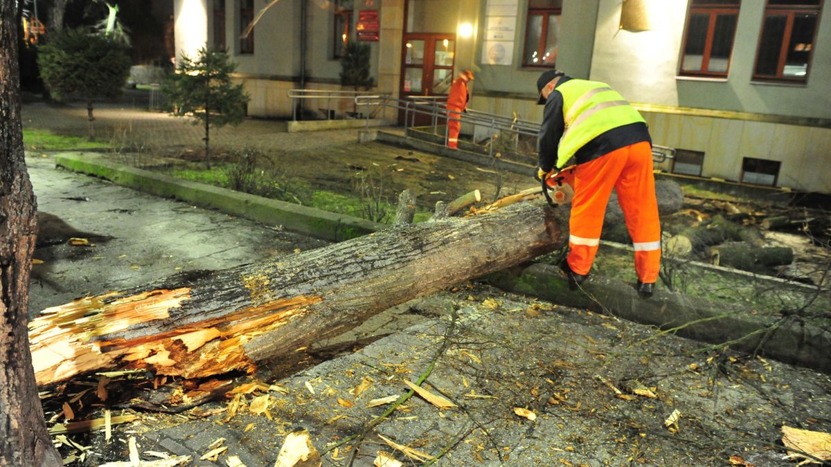 Usuwanie skutków wichury, jaka panuje w Szczecinie.